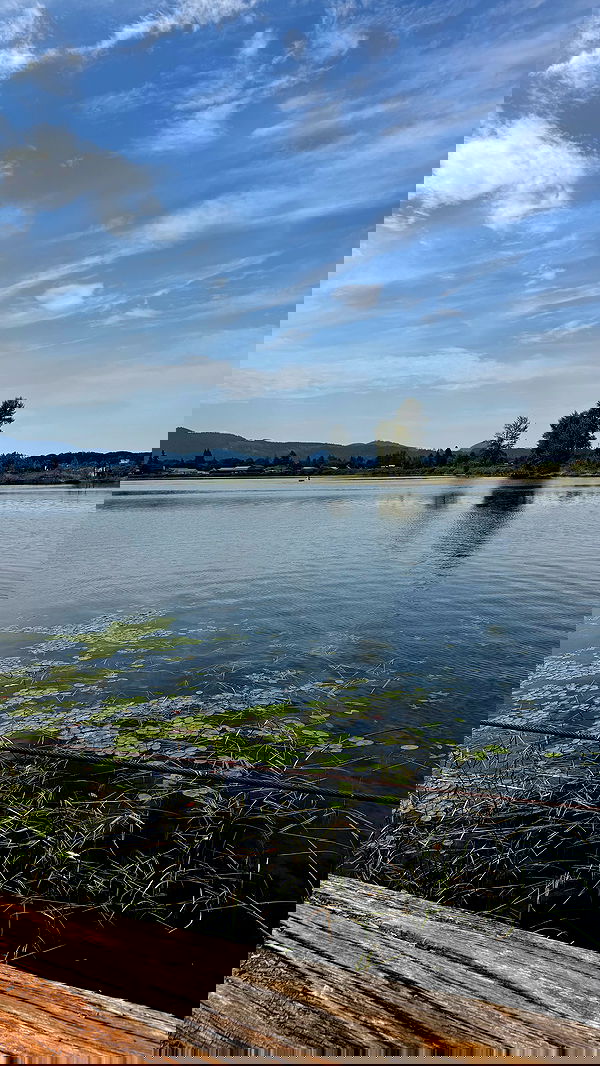 uniquexbrat image ~ Altpins