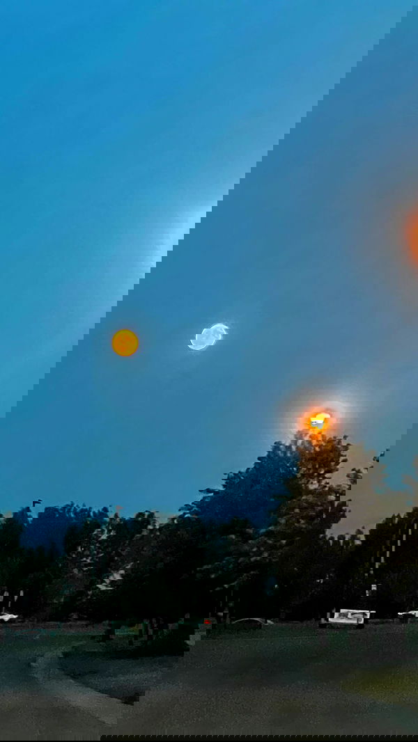 urfavbellabby urfavbellabby archive image