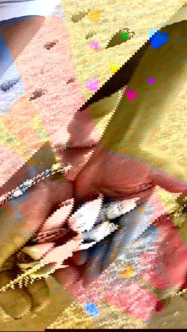 v.e.r.o._.n.i.c.a image ~ Altpins