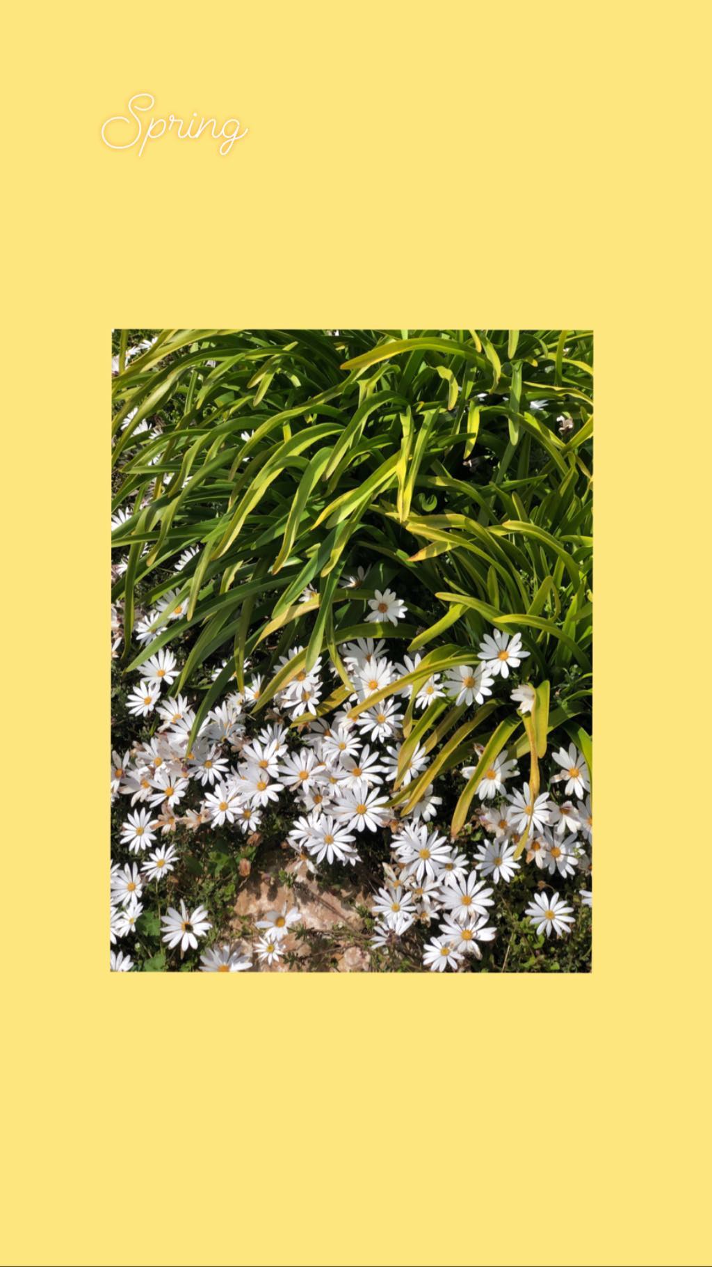 v.e.r.o._.n.i.c.a instagram image archive image