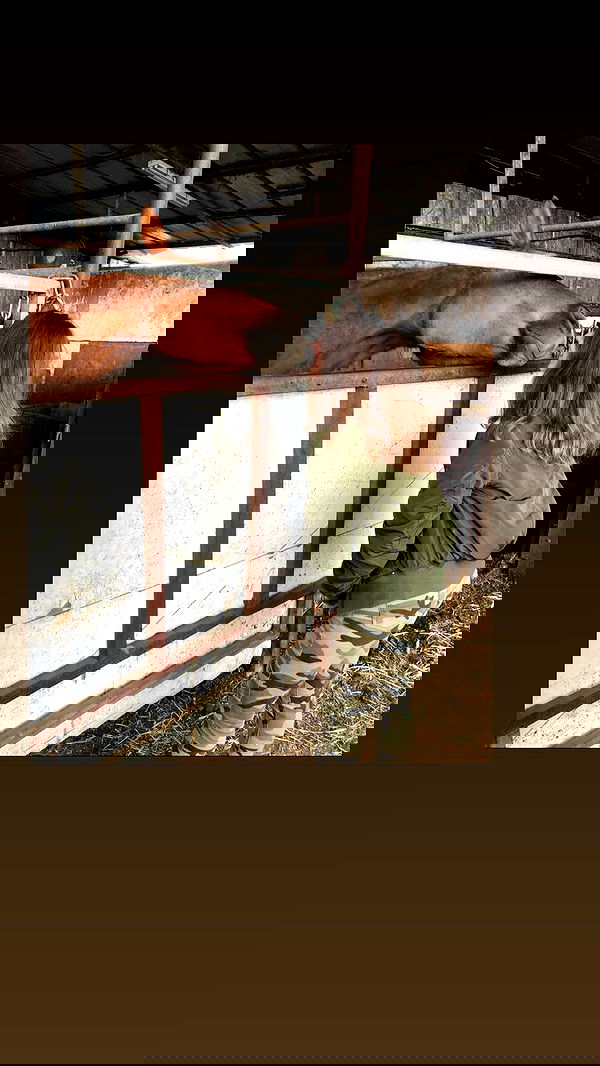 v.e.r.o._.n.i.c.a image ~ Altpins