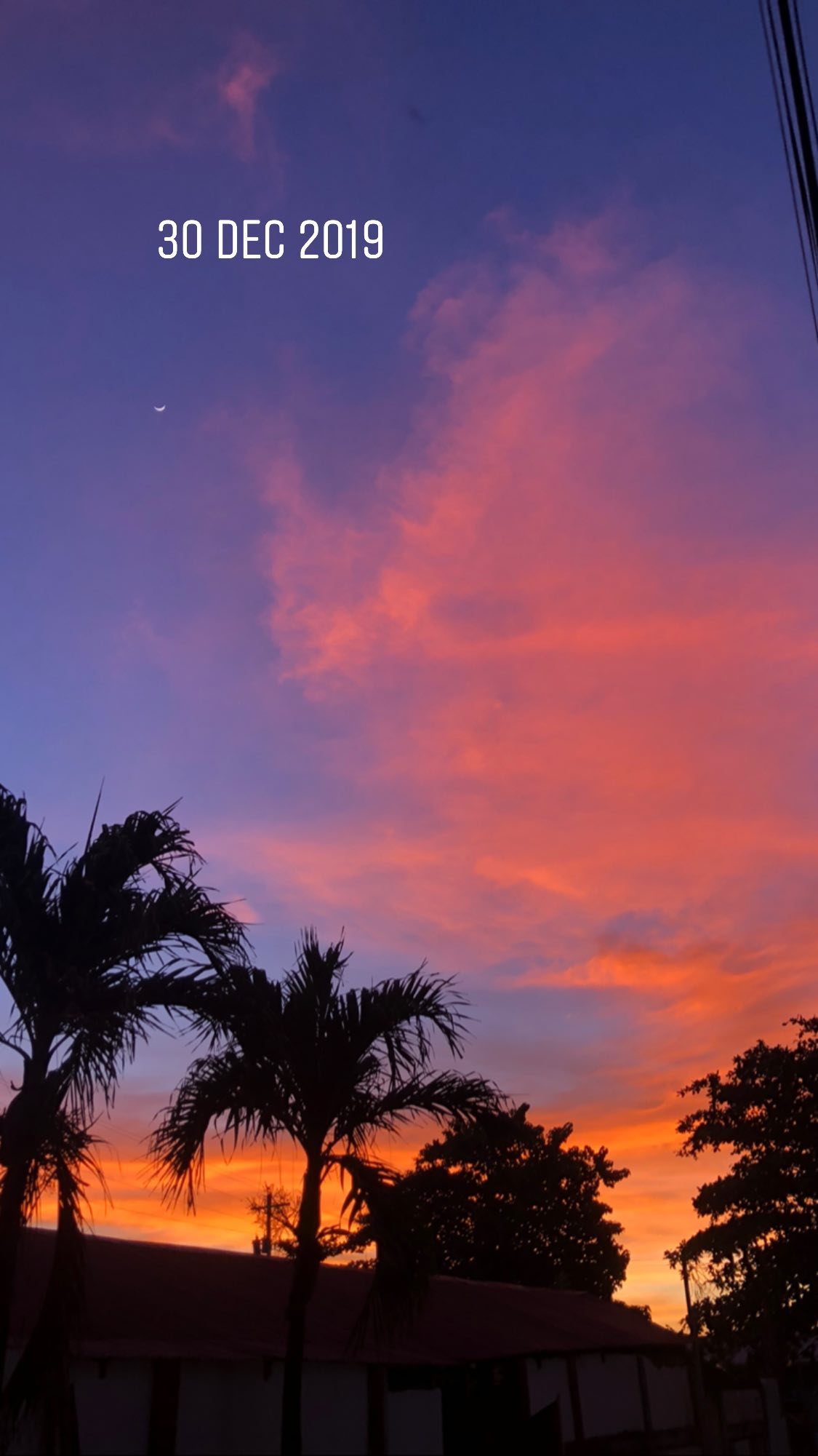 v.e.r.o._.n.i.c.a instagram image archive image