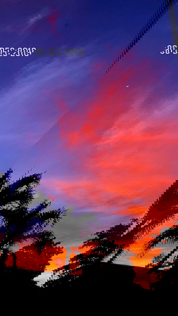 v.e.r.o._.n.i.c.a image ~ Altpins