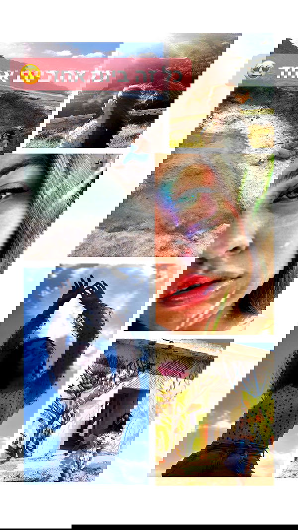 v.e.r.o._.n.i.c.a image ~ Altpins