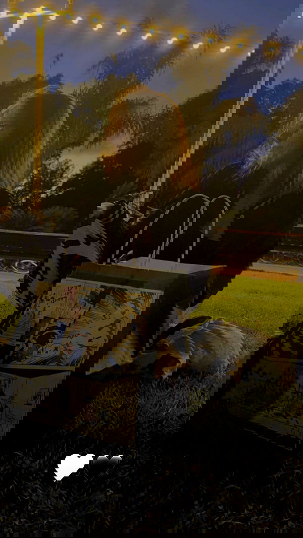 v.e.r.o._.n.i.c.a image ~ Altpins