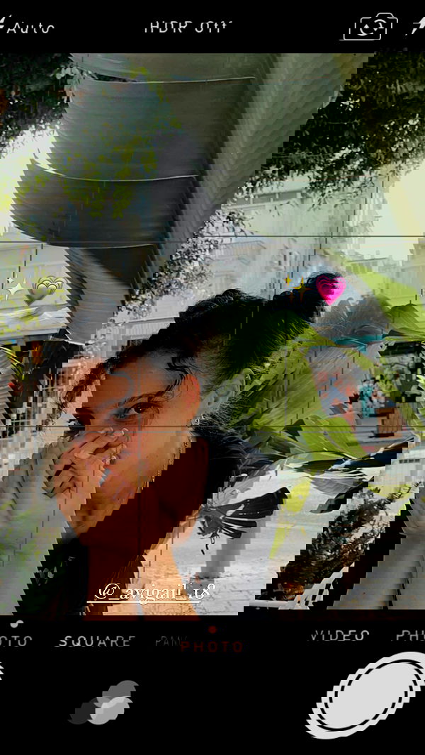 v.e.r.o._.n.i.c.a image ~ Altpins