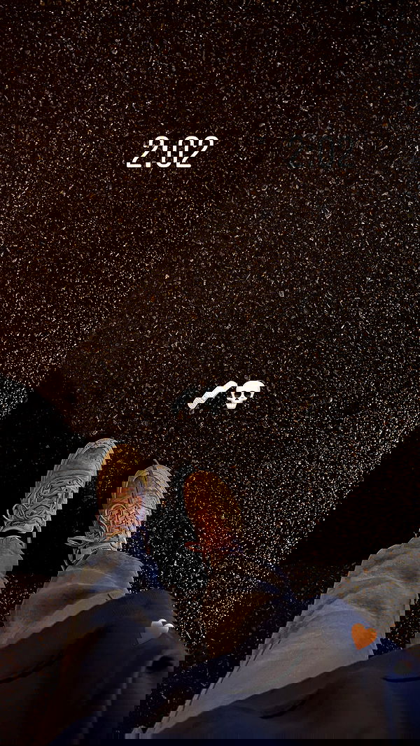 v.e.r.o._.n.i.c.a image ~ Altpins