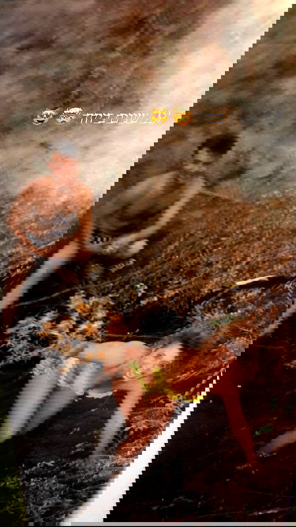 v.e.r.o._.n.i.c.a image ~ Altpins