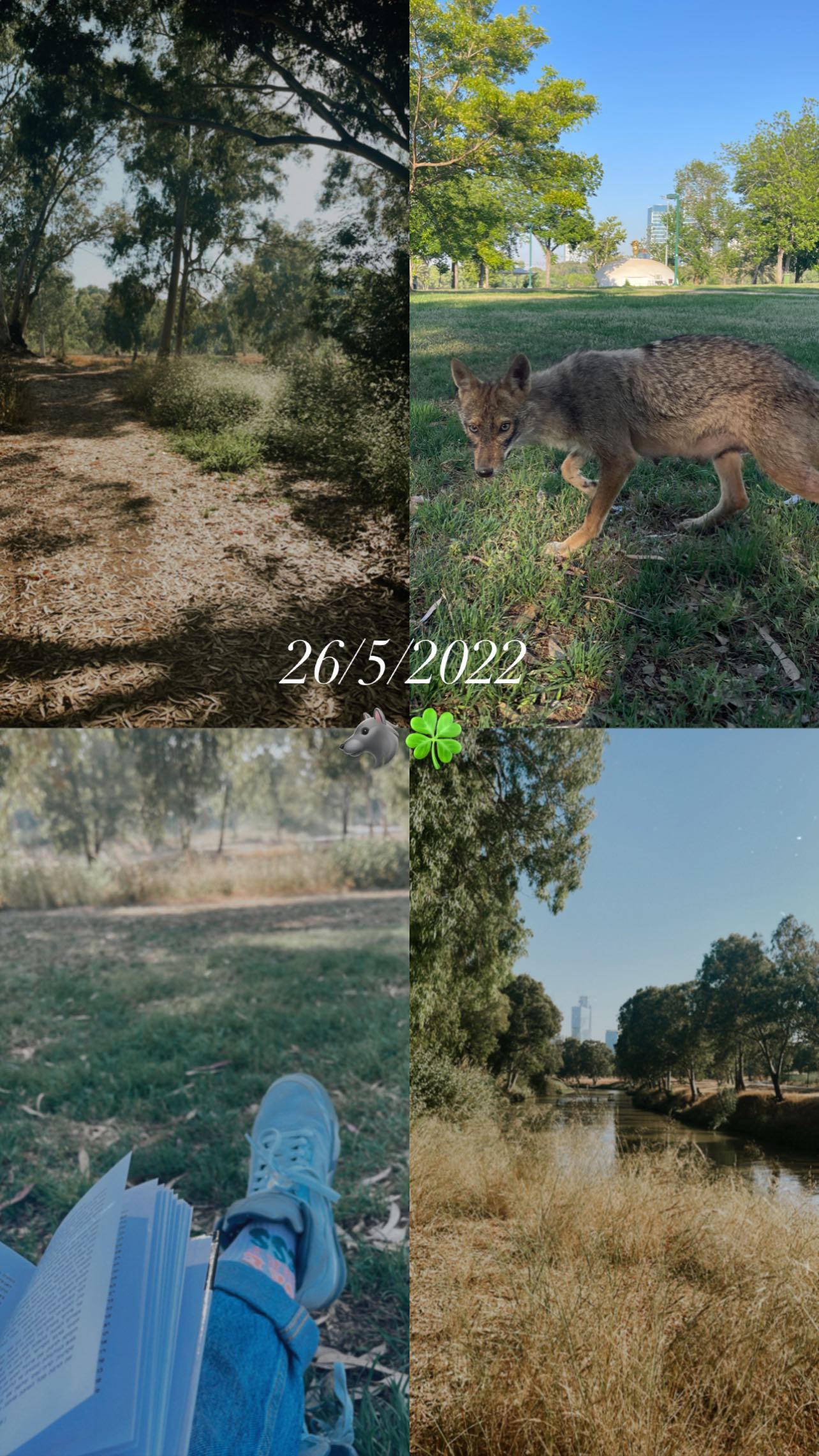 v.e.r.o._.n.i.c.a instagram image archive image