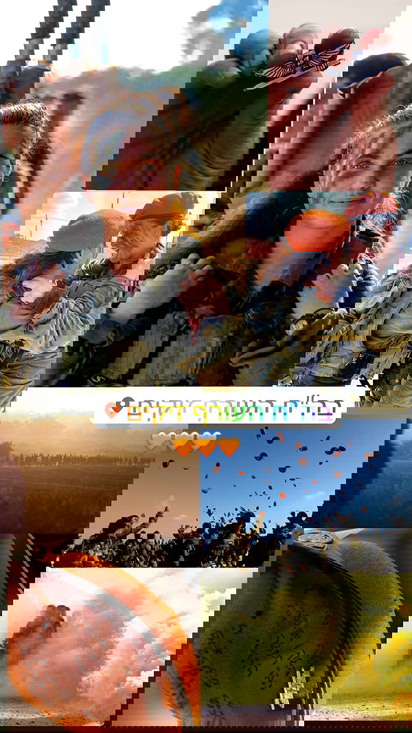 v.e.r.o._.n.i.c.a image ~ Altpins