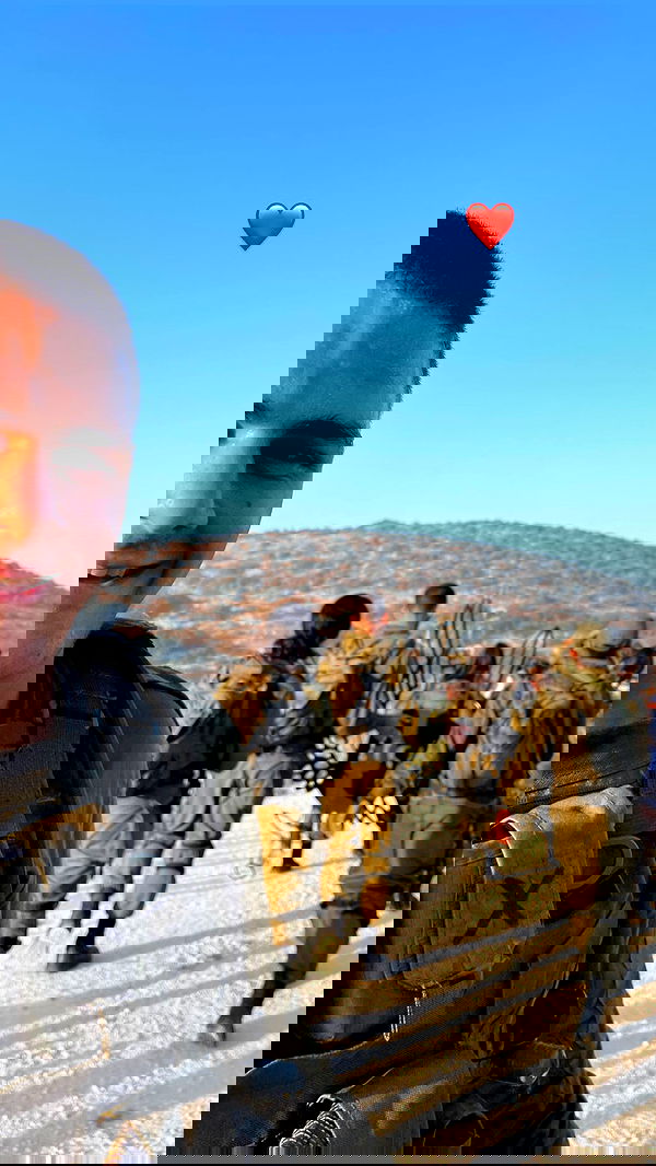 v.e.r.o._.n.i.c.a image ~ Altpins