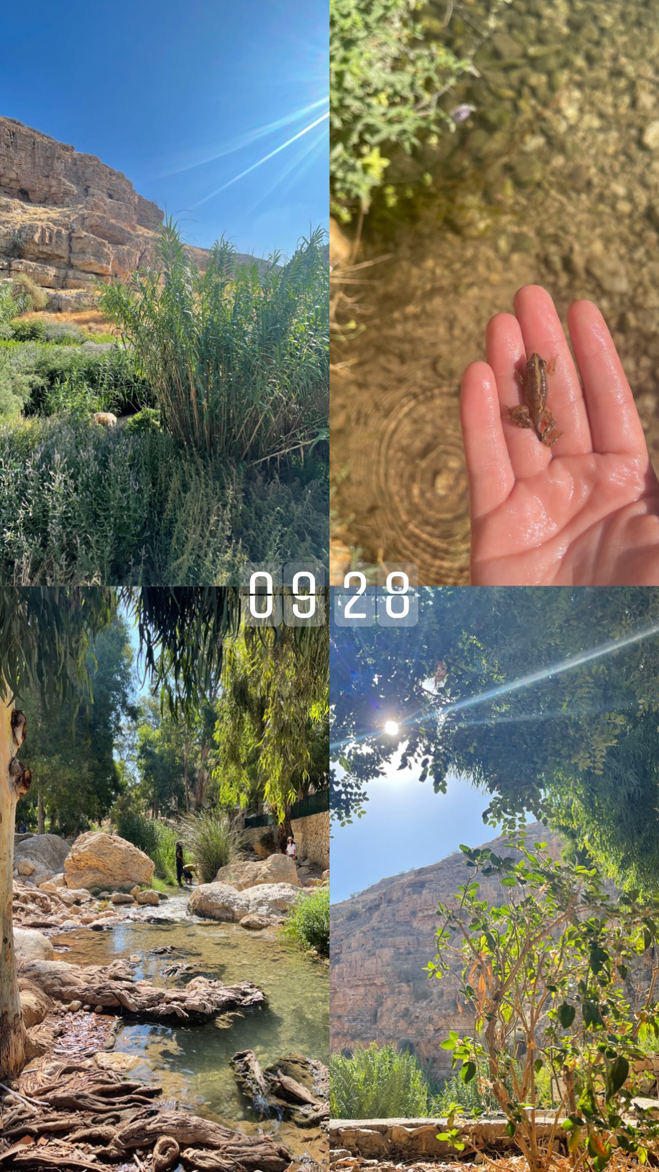 v.e.r.o._.n.i.c.a instagram image archive image