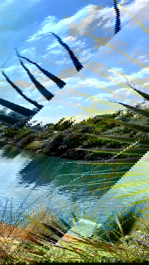 v.e.r.o._.n.i.c.a image ~ Altpins