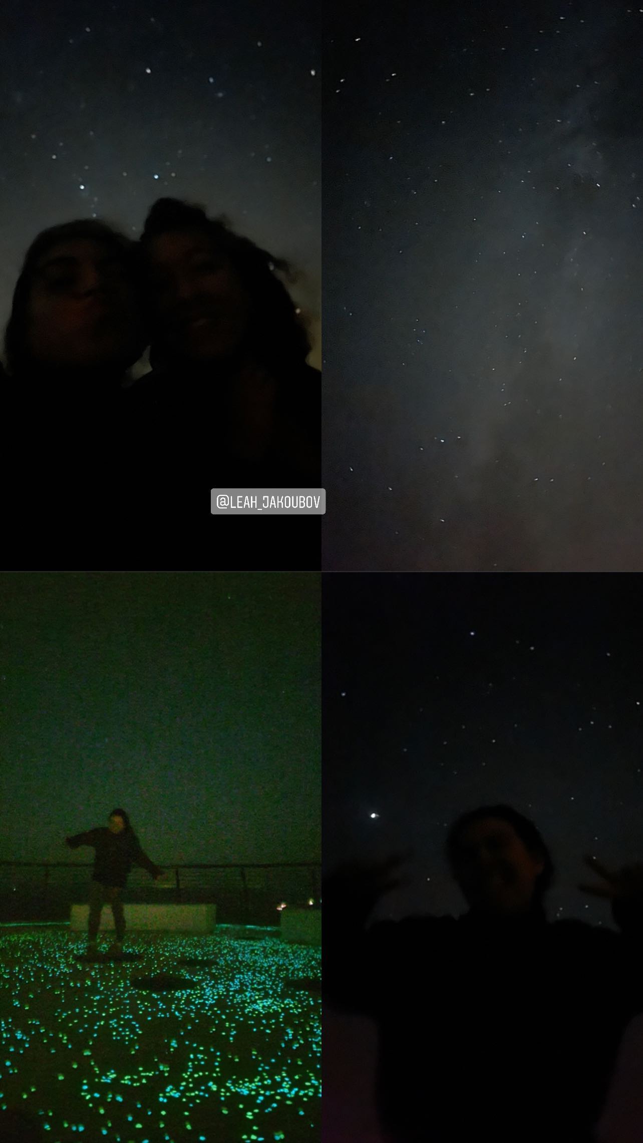 v.e.r.o._.n.i.c.a instagram image archive image