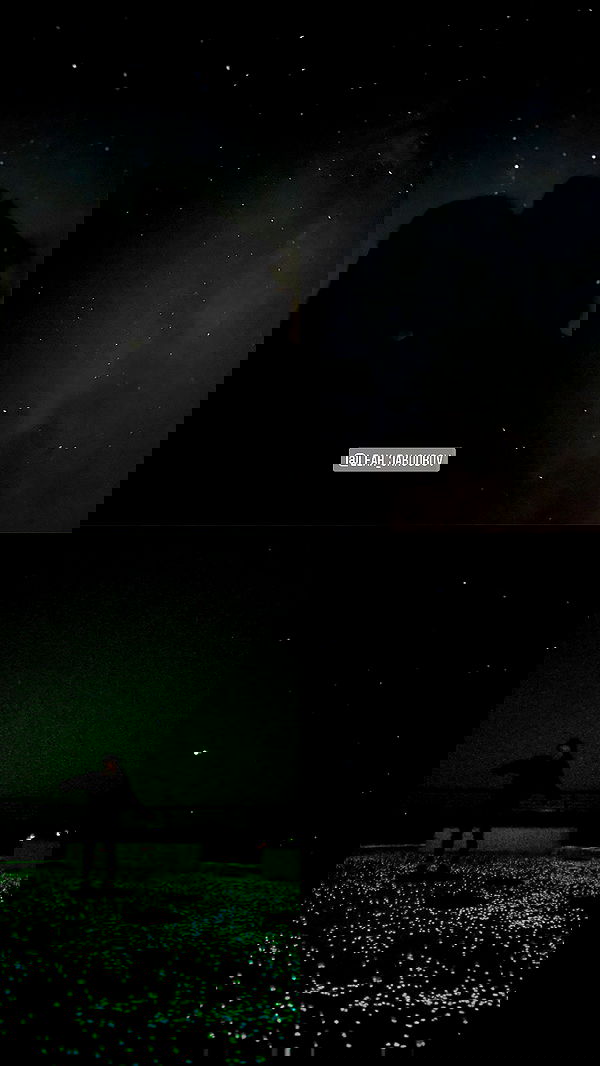 v.e.r.o._.n.i.c.a image ~ Altpins