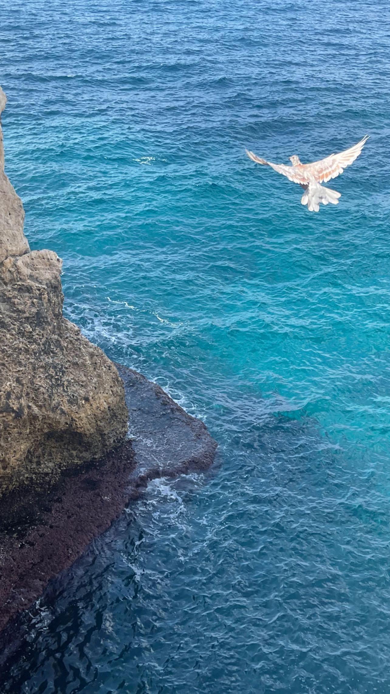 v.e.r.o._.n.i.c.a instagram image archive image