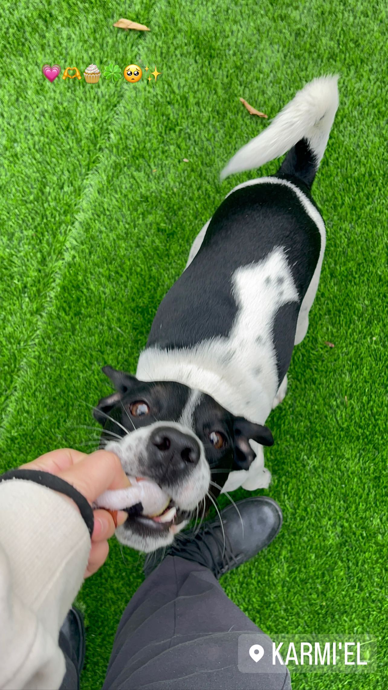 v.e.r.o._.n.i.c.a instagram image archive image