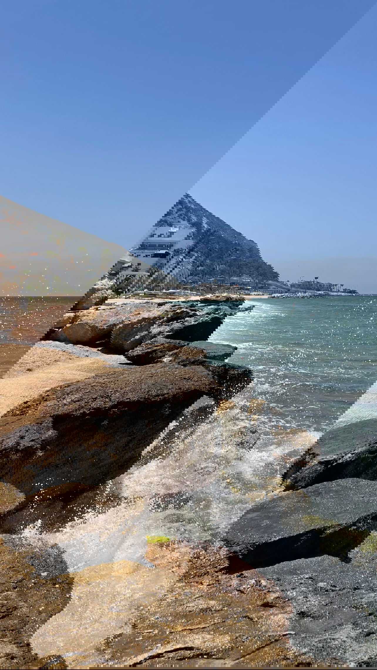 v.e.r.o._.n.i.c.a instagram image archive image