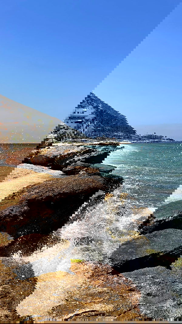 v.e.r.o._.n.i.c.a image ~ Altpins