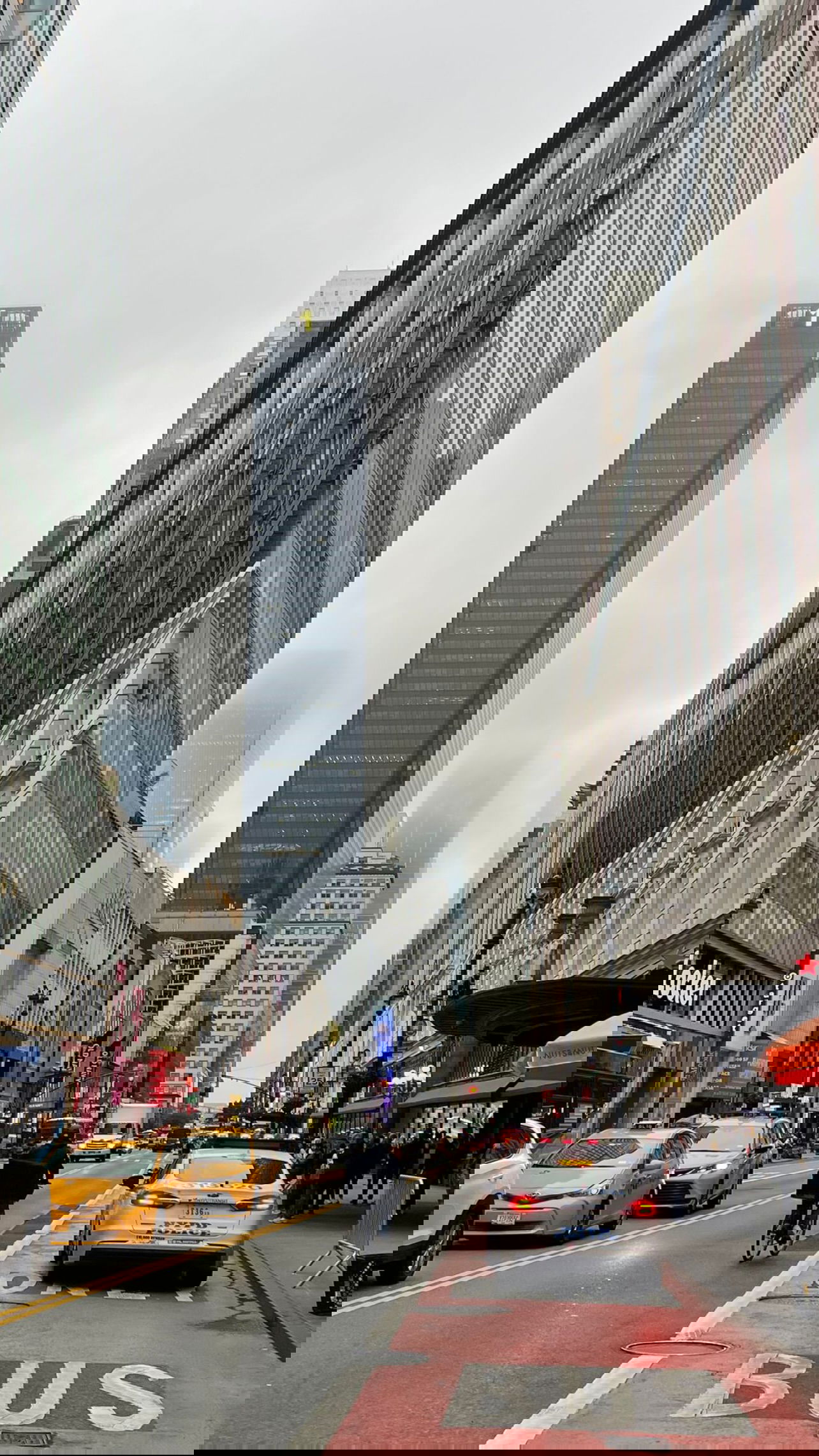 v.e.r.o._.n.i.c.a instagram image archive image