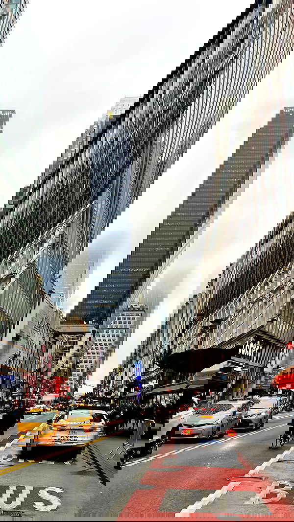 v.e.r.o._.n.i.c.a image ~ Altpins