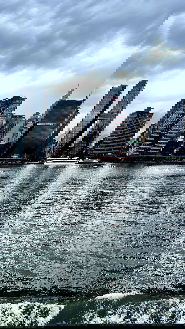 v.e.r.o._.n.i.c.a image ~ Altpins