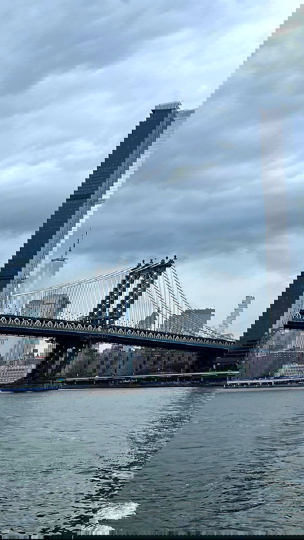 v.e.r.o._.n.i.c.a image ~ Altpins