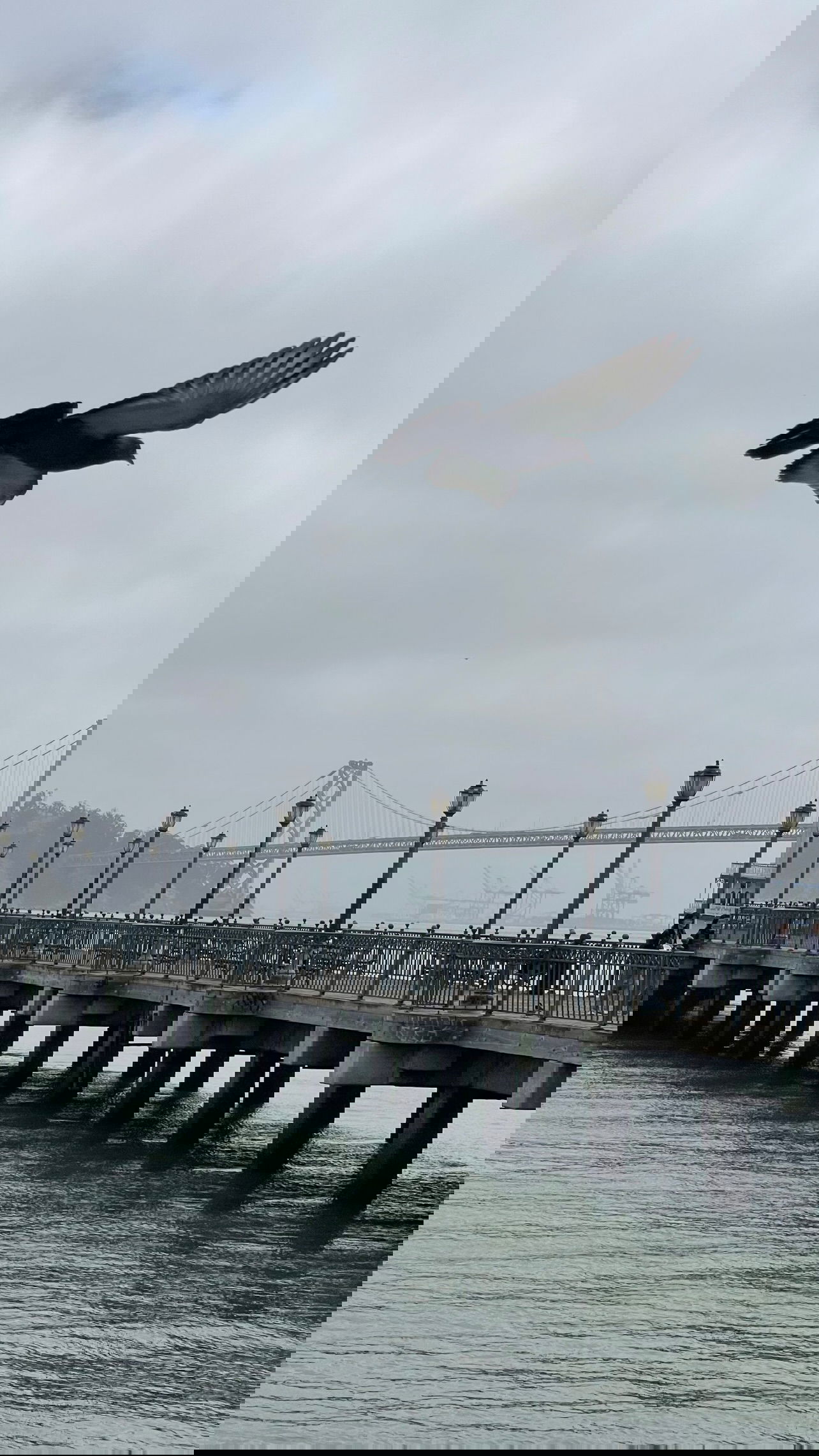 v.e.r.o._.n.i.c.a instagram image archive image