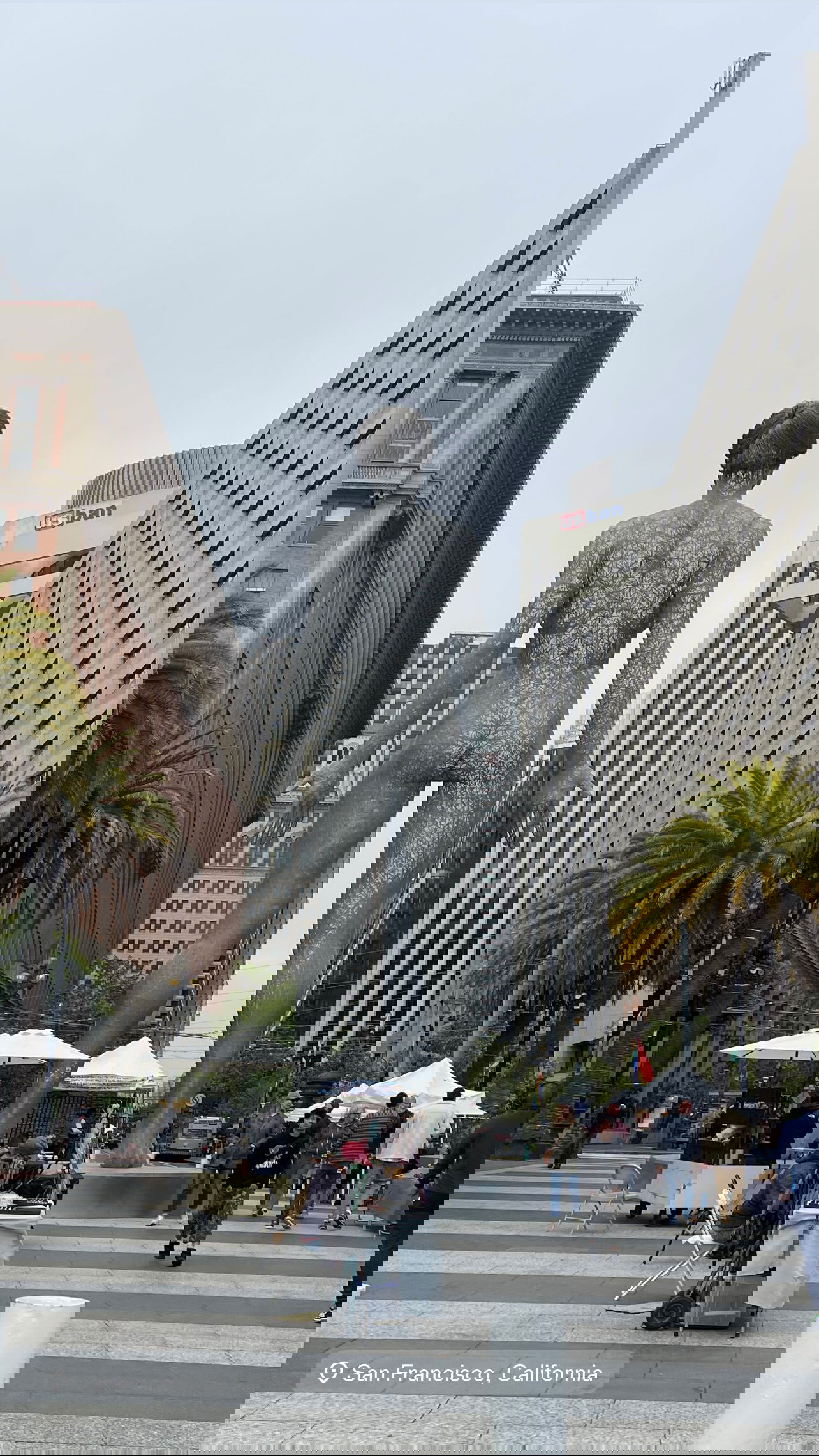 v.e.r.o._.n.i.c.a instagram image archive image