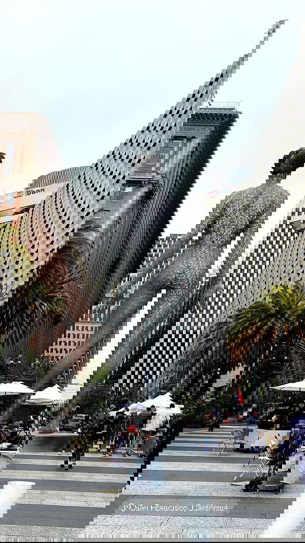 v.e.r.o._.n.i.c.a image ~ Altpins