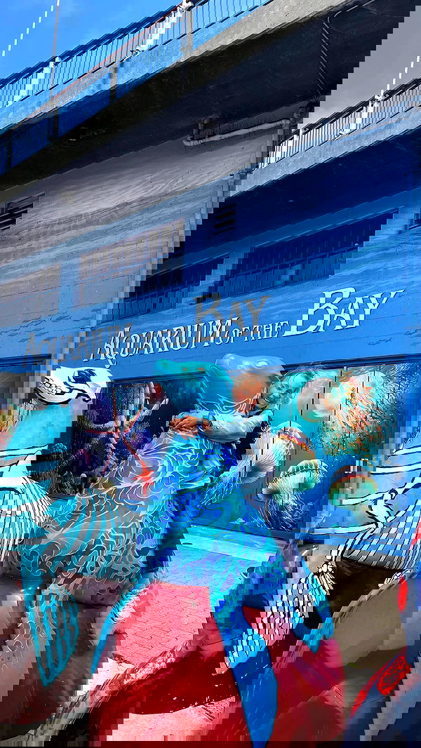 v.e.r.o._.n.i.c.a image ~ Altpins