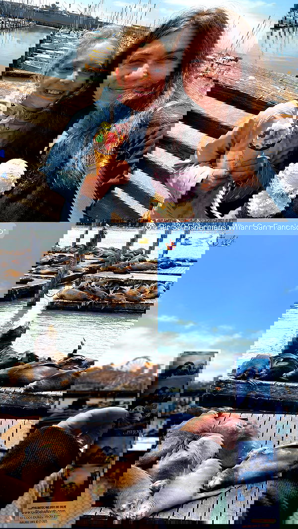 v.e.r.o._.n.i.c.a image ~ Altpins