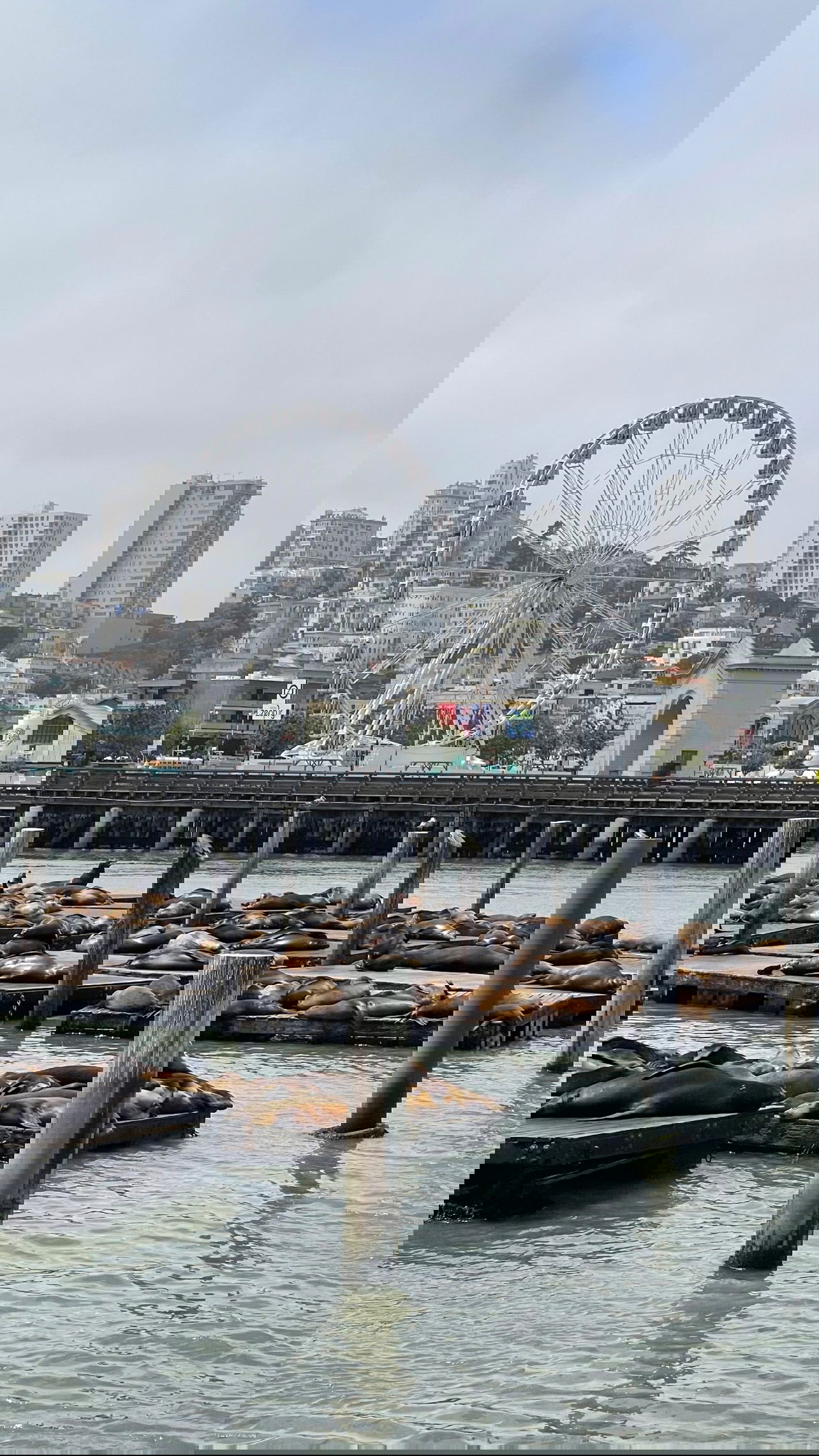 v.e.r.o._.n.i.c.a instagram image archive image