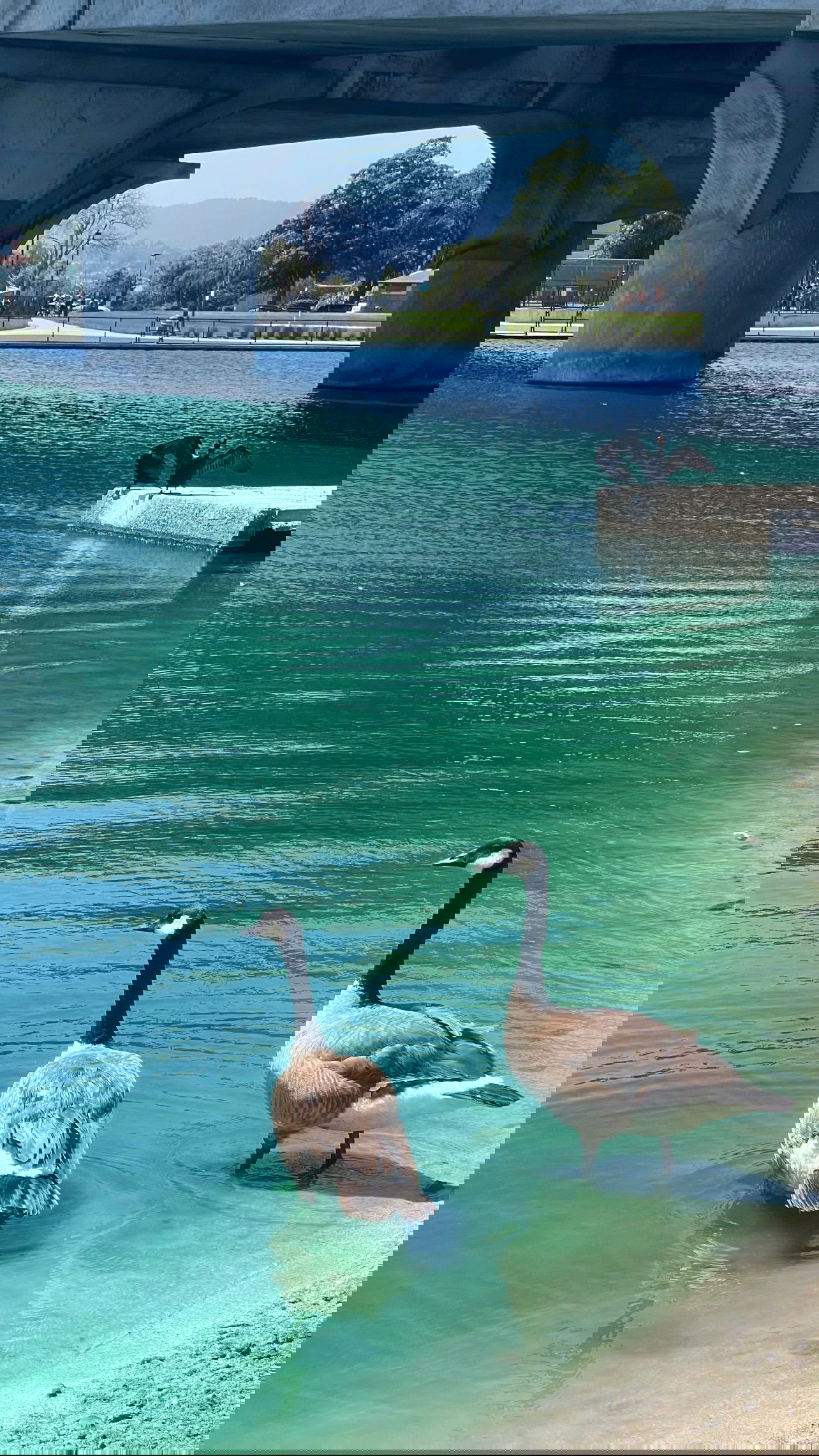 v.e.r.o._.n.i.c.a instagram image archive image