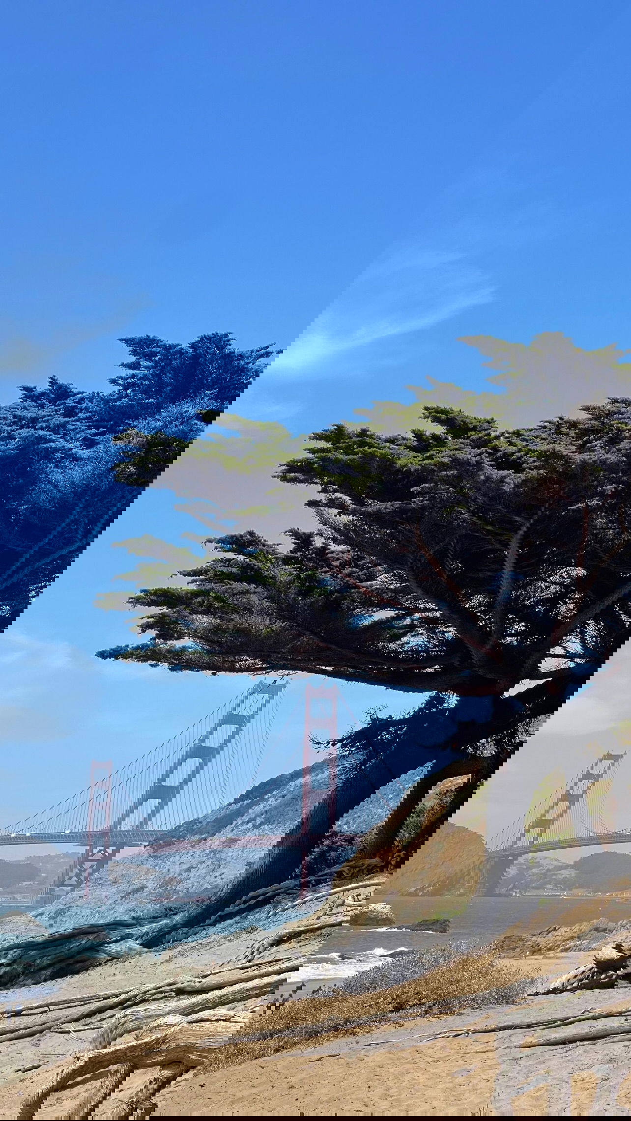 v.e.r.o._.n.i.c.a instagram image archive image