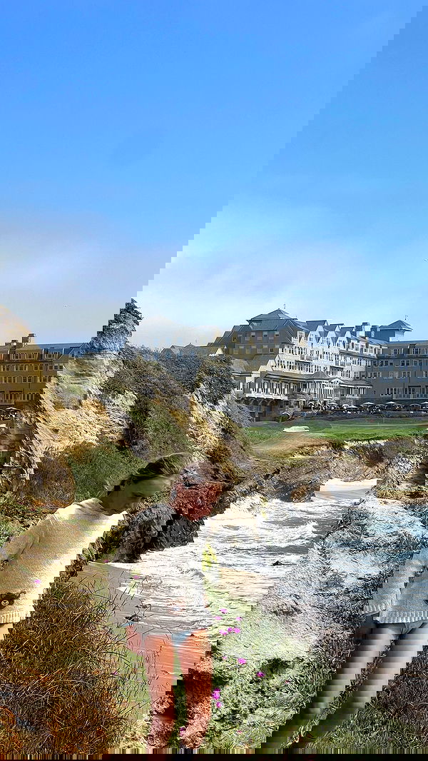 v.e.r.o._.n.i.c.a image ~ Altpins