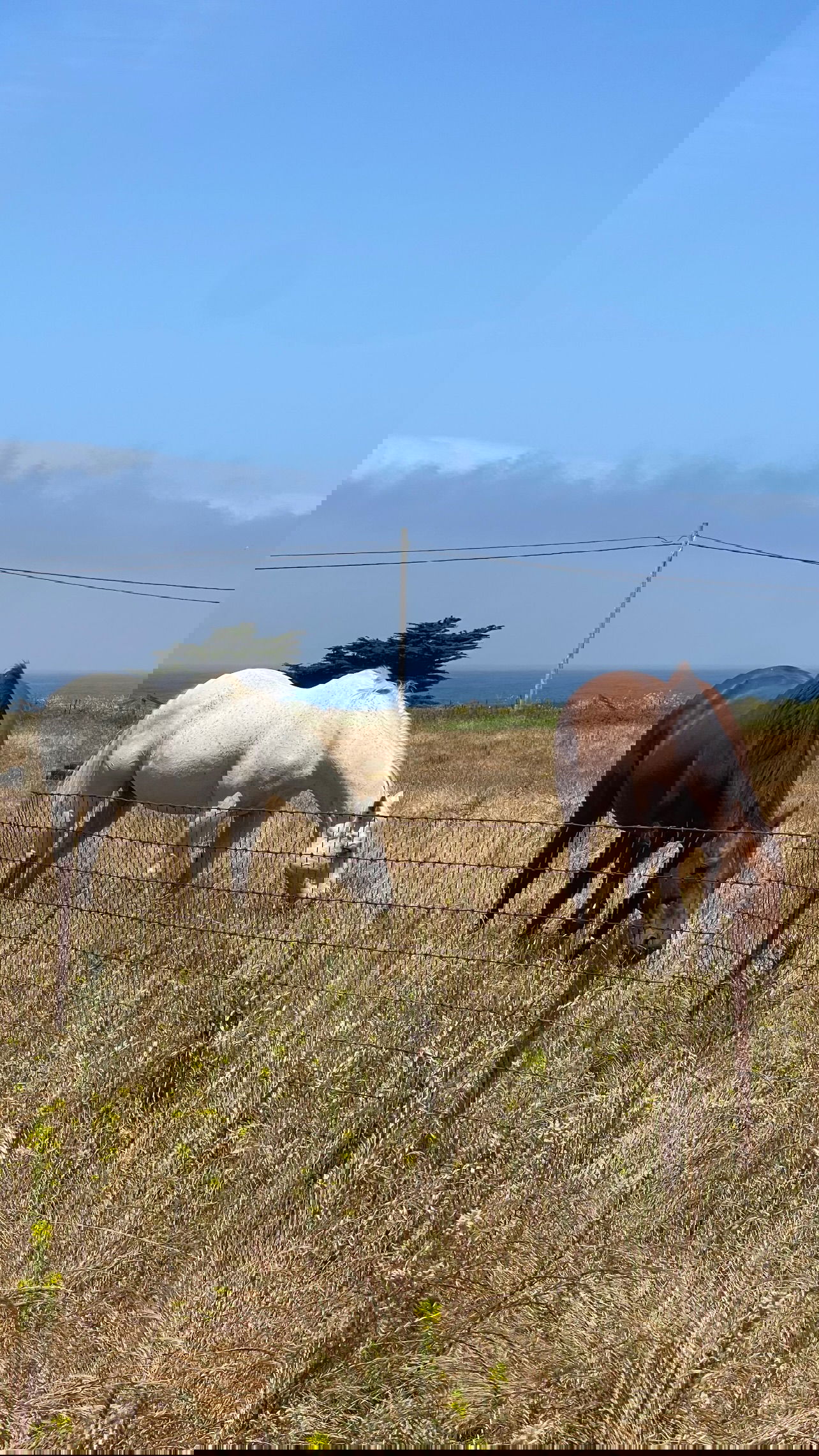 v.e.r.o._.n.i.c.a instagram image archive image