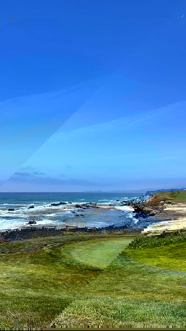 v.e.r.o._.n.i.c.a image ~ Altpins