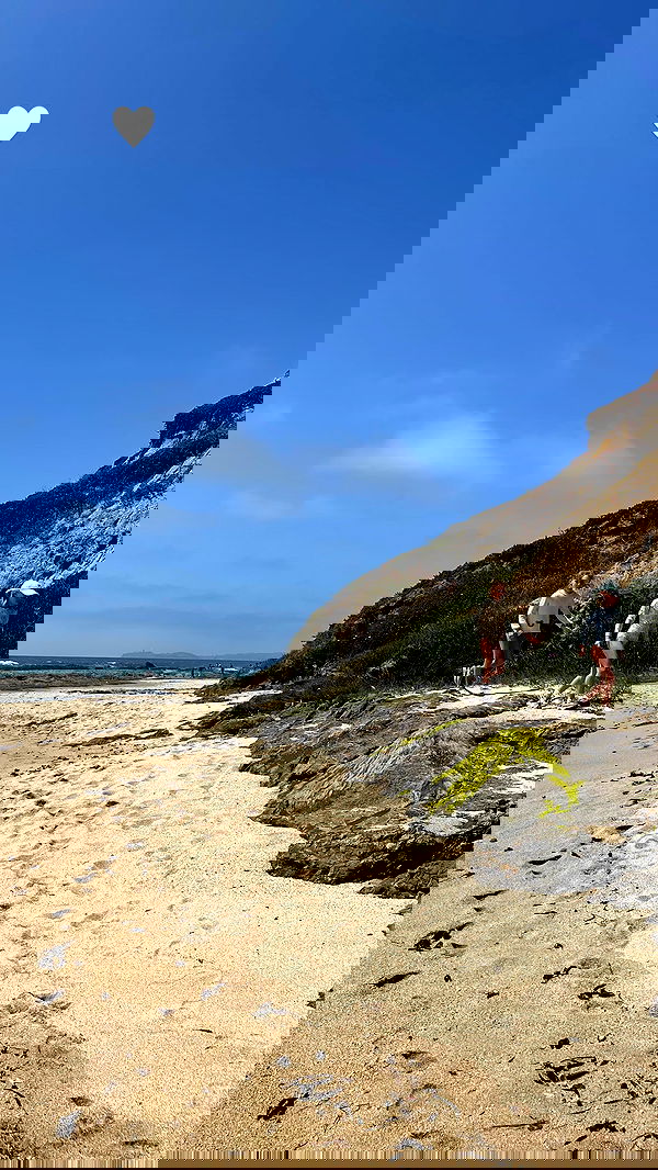 v.e.r.o._.n.i.c.a image ~ Altpins