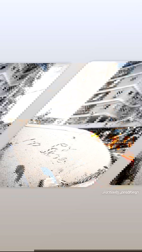 v.e.r.o._.n.i.c.a image ~ Altpins