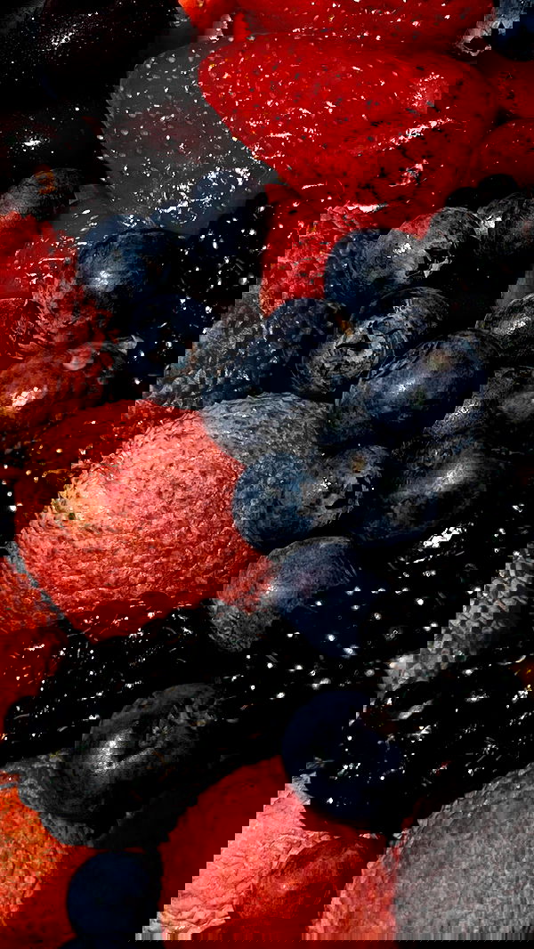 v.e.r.o._.n.i.c.a image ~ Altpins