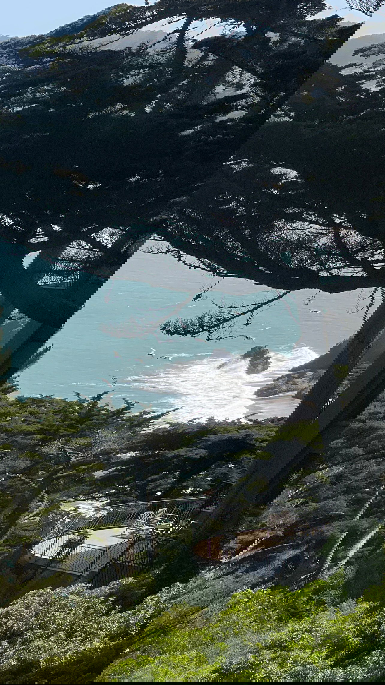 v.e.r.o._.n.i.c.a instagram image archive image