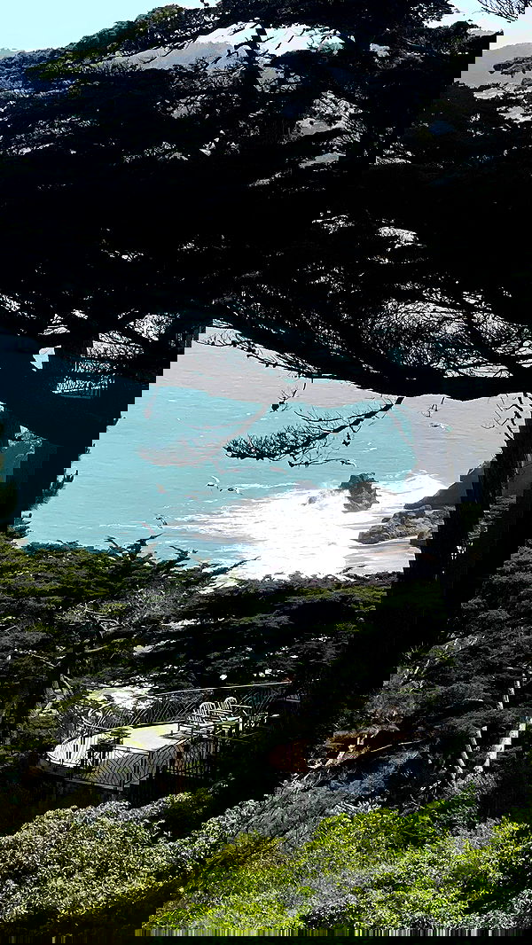 v.e.r.o._.n.i.c.a image ~ Altpins