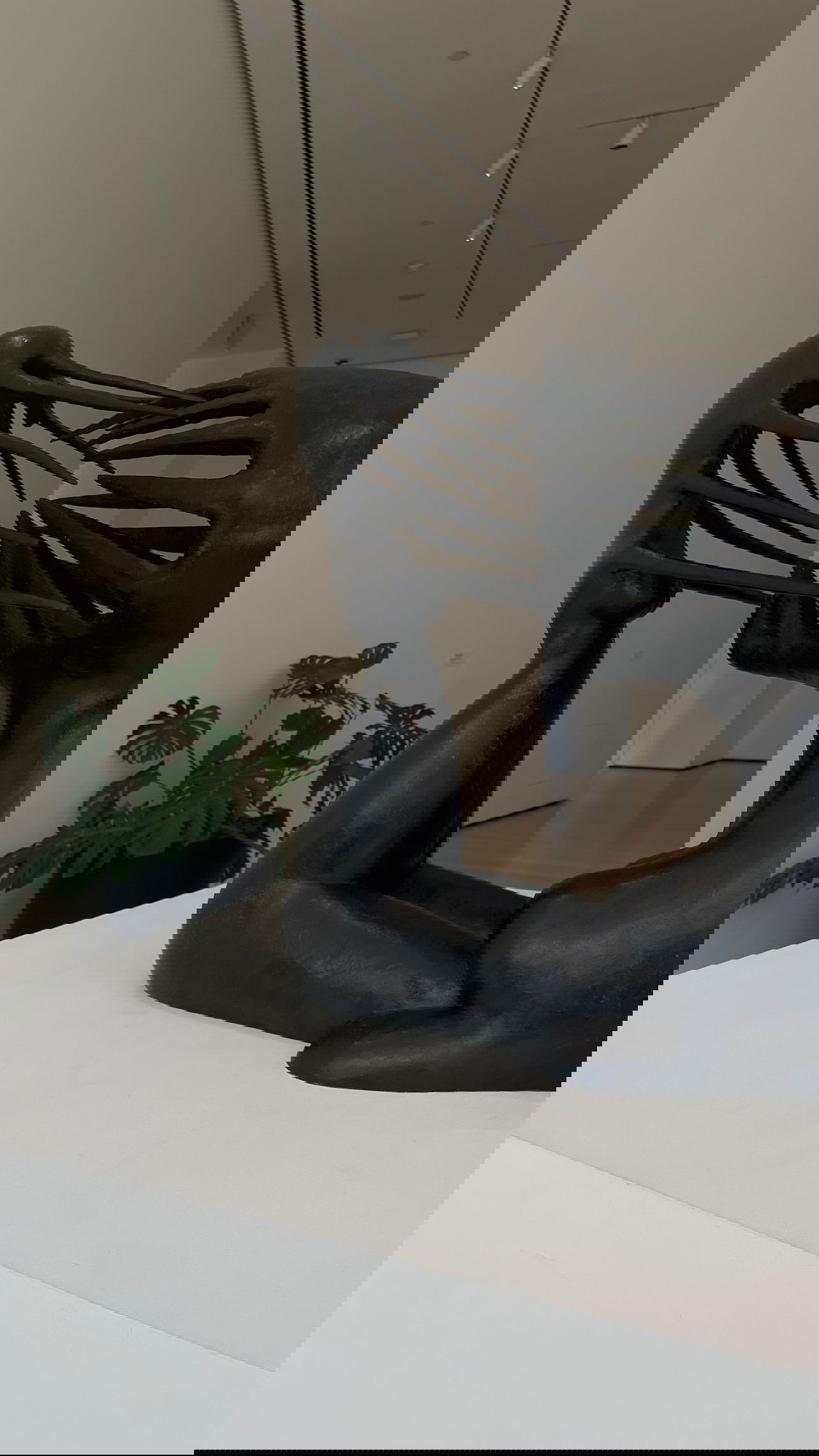 v.e.r.o._.n.i.c.a instagram image archive image