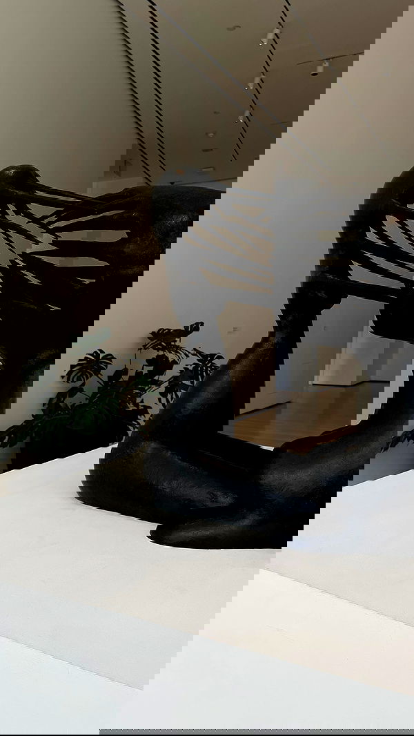 v.e.r.o._.n.i.c.a image ~ Altpins