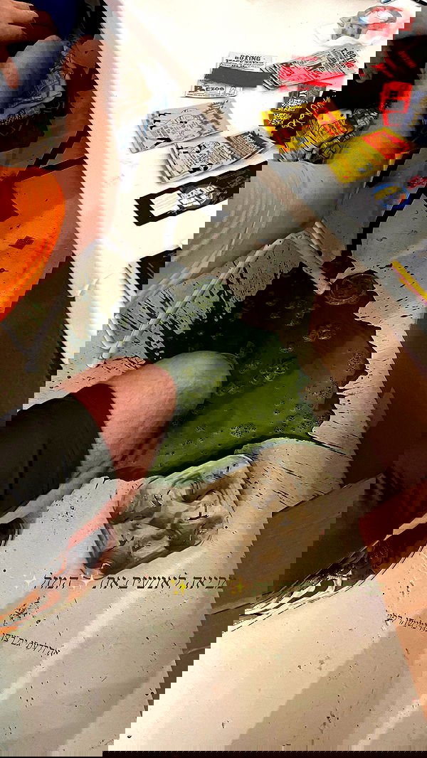 v.e.r.o._.n.i.c.a image ~ Altpins