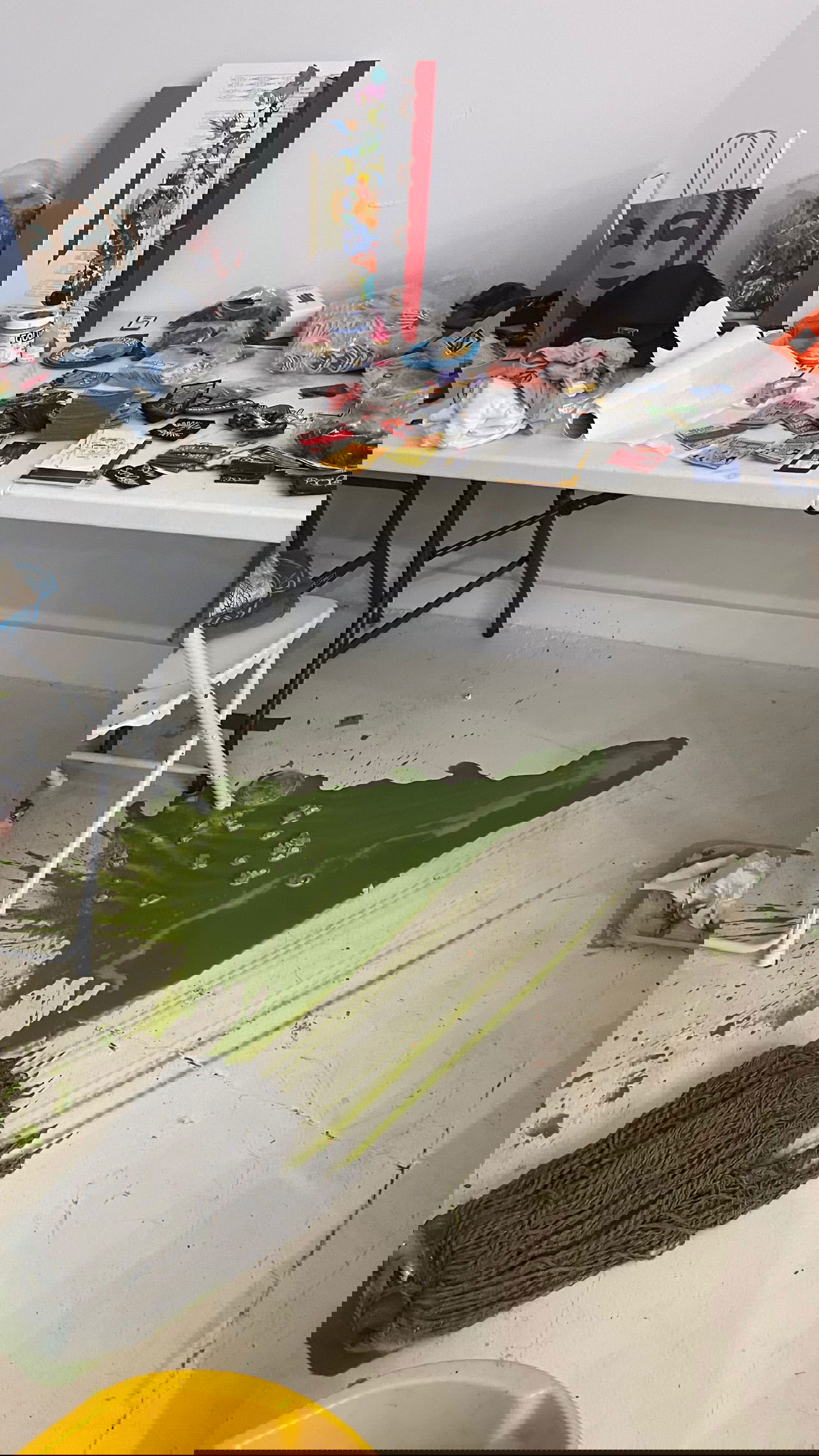 v.e.r.o._.n.i.c.a instagram image archive image