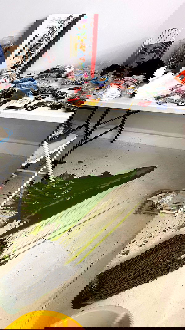 v.e.r.o._.n.i.c.a image ~ Altpins