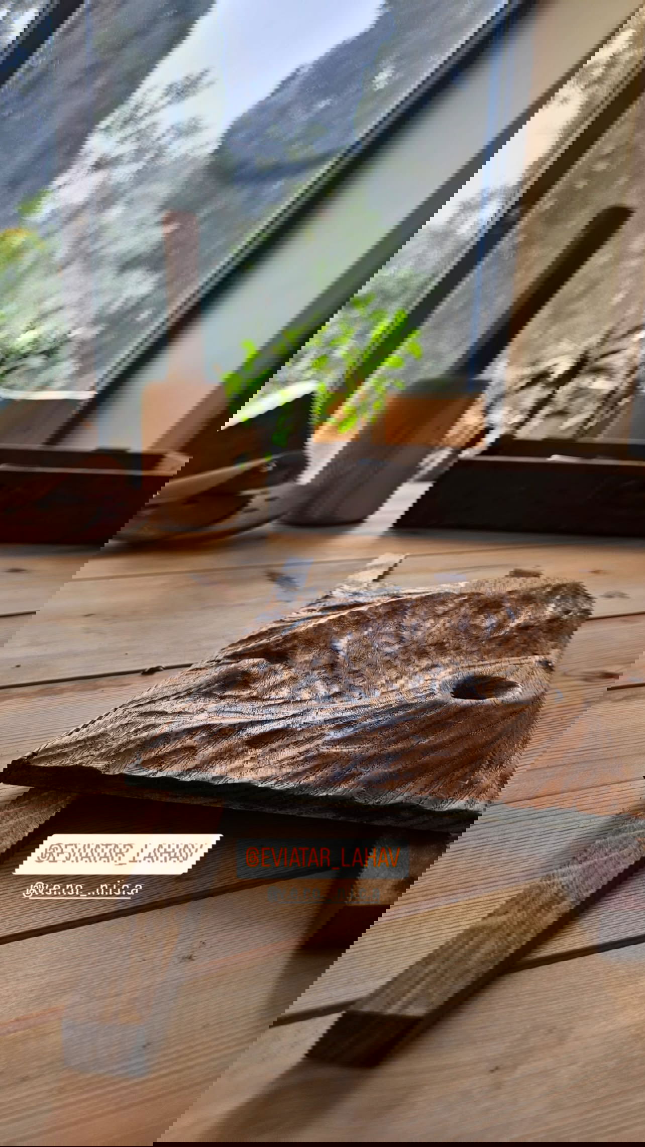 v.e.r.o._.n.i.c.a instagram image archive image