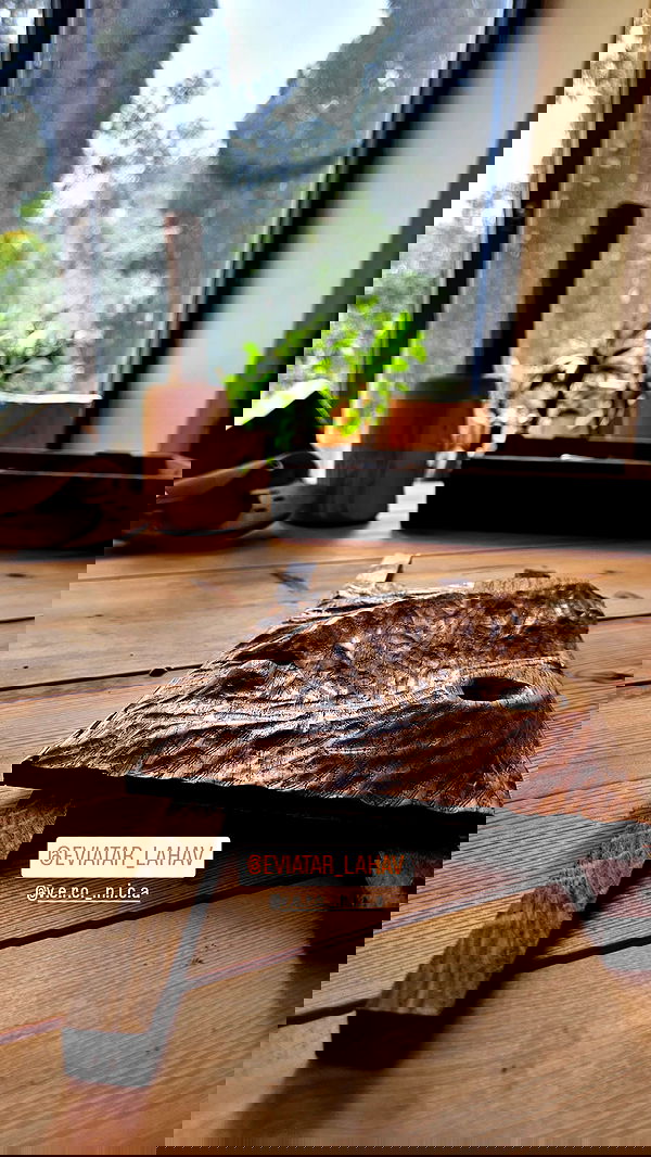 v.e.r.o._.n.i.c.a image ~ Altpins